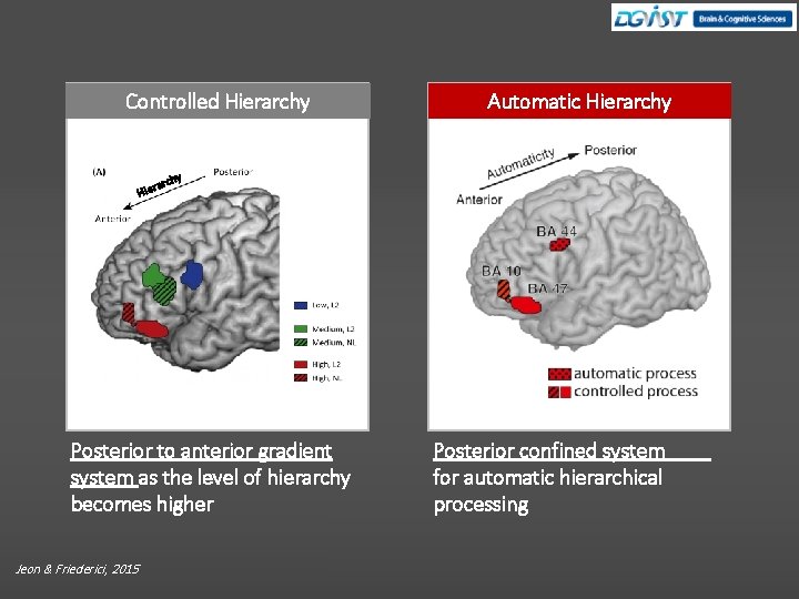 Controlled Hierarchy Automatic Hierarchy y h rarc Hie Posterior to anterior gradient system as