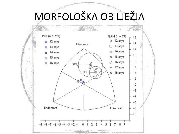 MORFOLOŠKA OBILJEŽJA 