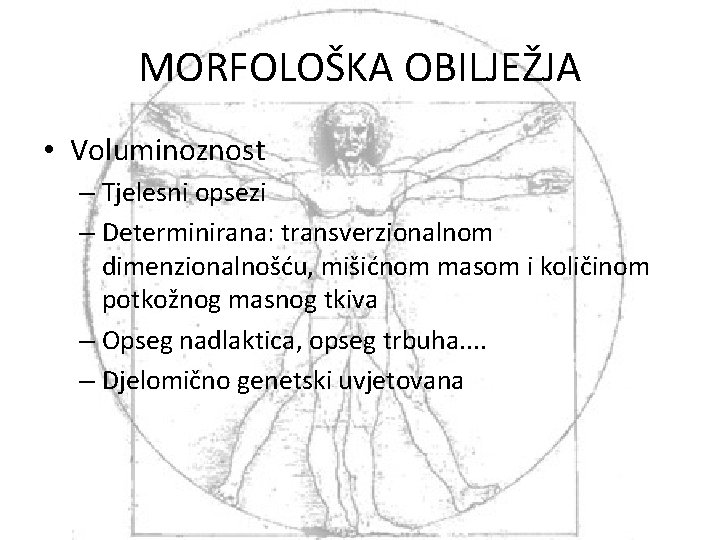 MORFOLOŠKA OBILJEŽJA • Voluminoznost – Tjelesni opsezi – Determinirana: transverzionalnom dimenzionalnošću, mišićnom masom i