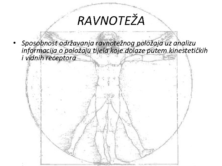 RAVNOTEŽA • Sposobnost održavanja ravnotežnog položaja uz analizu informacija o položaju tijela koje dolaze