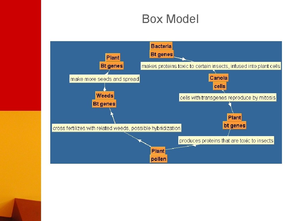 Box Model 