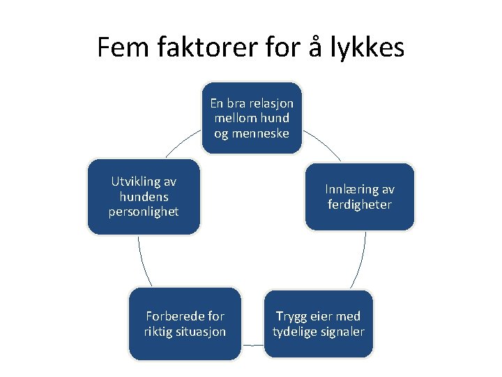 Fem faktorer for å lykkes En bra relasjon mellom hund og menneske Utvikling av