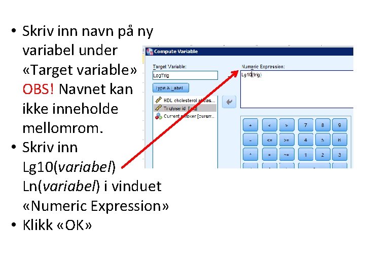  • Skriv inn navn på ny variabel under «Target variable» OBS! Navnet kan