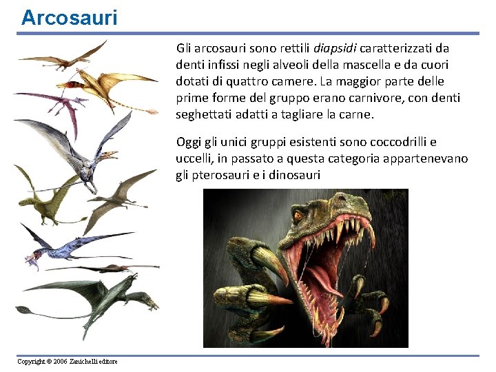 Arcosauri Gli arcosauri sono rettili diapsidi caratterizzati da denti infissi negli alveoli della mascella