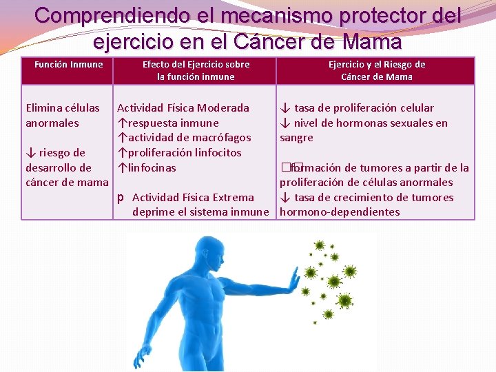Comprendiendo el mecanismo protector del ejercicio en el Cáncer de Mama Función Inmune Elimina