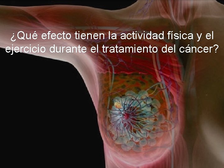 ¿Qué efecto tienen la actividad física y el ejercicio durante el tratamiento del cáncer?