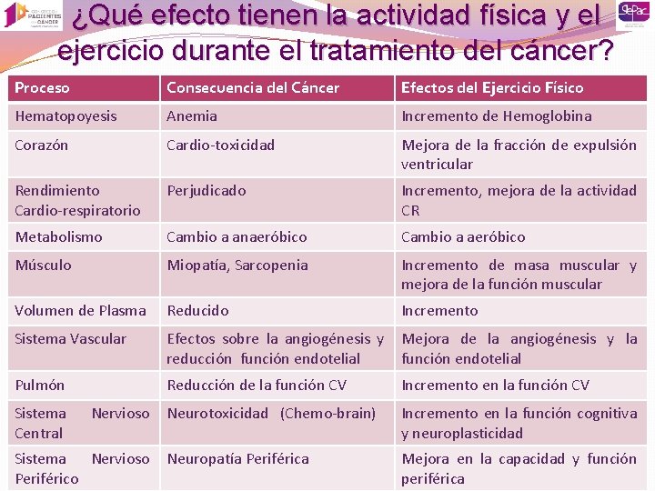 ¿Qué efecto tienen la actividad física y el ejercicio durante el tratamiento del cáncer?