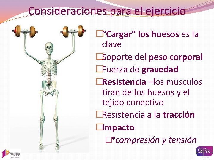 Consideraciones para el ejercicio �“Cargar” los huesos es la clave �Soporte del peso corporal