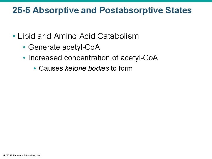 25 -5 Absorptive and Postabsorptive States • Lipid and Amino Acid Catabolism • Generate