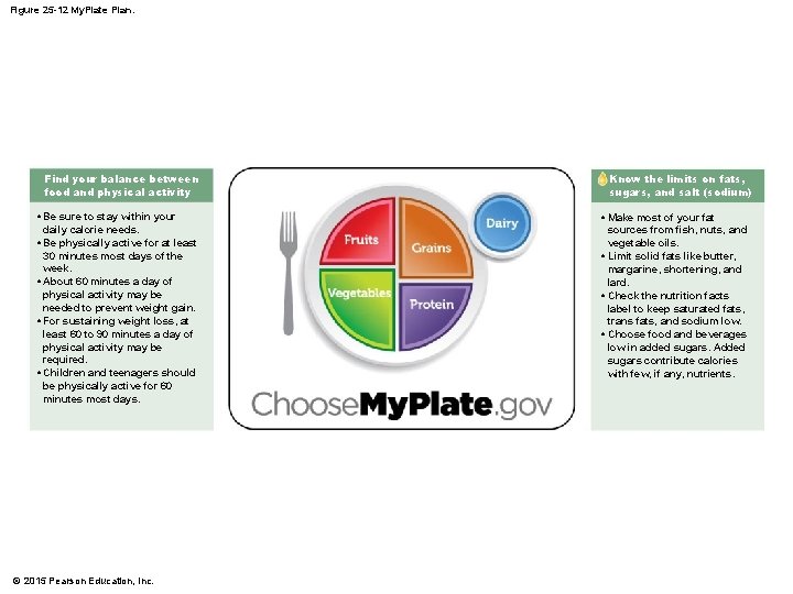 Figure 25 -12 My. Plate Plan. Find your balance between food and physical activity
