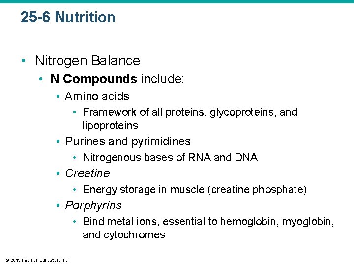 25 -6 Nutrition • Nitrogen Balance • N Compounds include: • Amino acids •