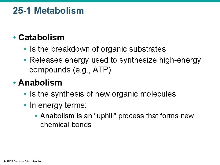 25 -1 Metabolism • Catabolism • Is the breakdown of organic substrates • Releases