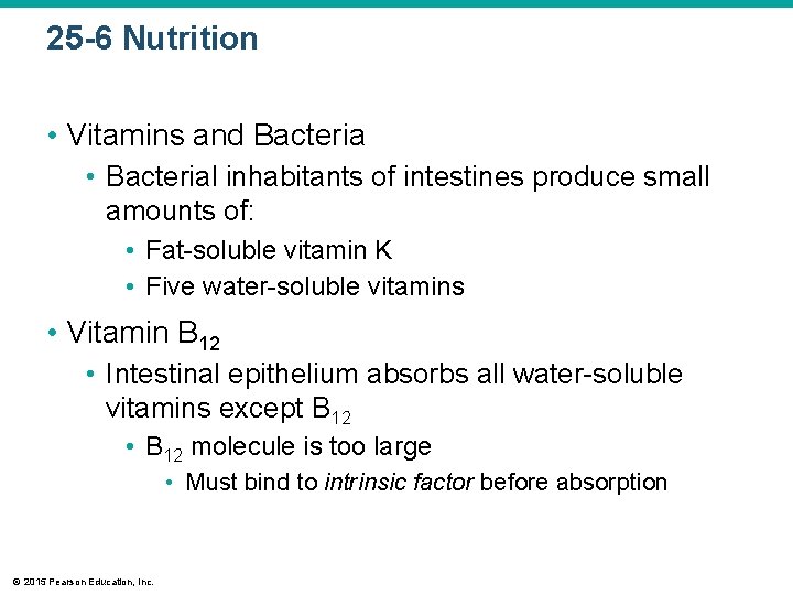 25 -6 Nutrition • Vitamins and Bacteria • Bacterial inhabitants of intestines produce small