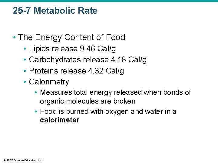 25 -7 Metabolic Rate • The Energy Content of Food • • Lipids release