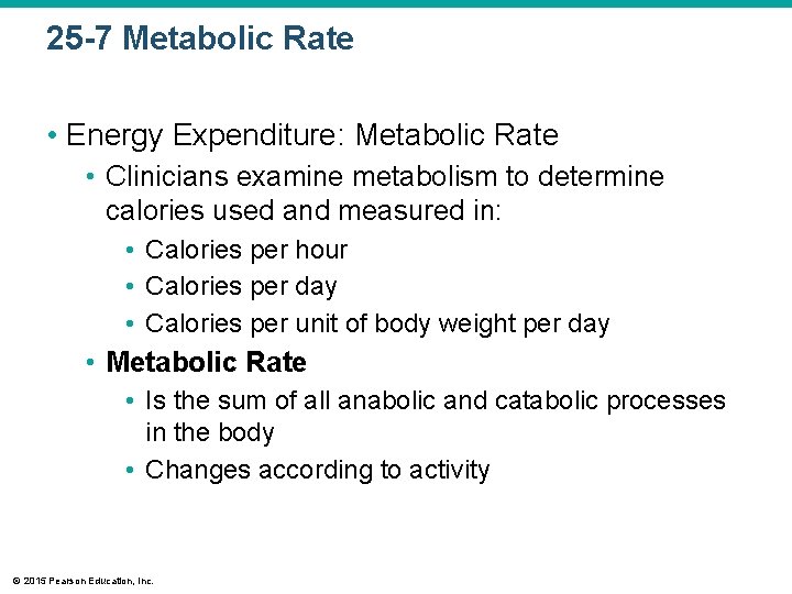 25 -7 Metabolic Rate • Energy Expenditure: Metabolic Rate • Clinicians examine metabolism to