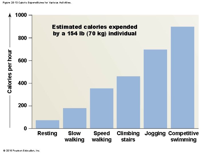 Figure 25 -13 Caloric Expenditures for Various Activities. 1000 Estimated calories expended by a