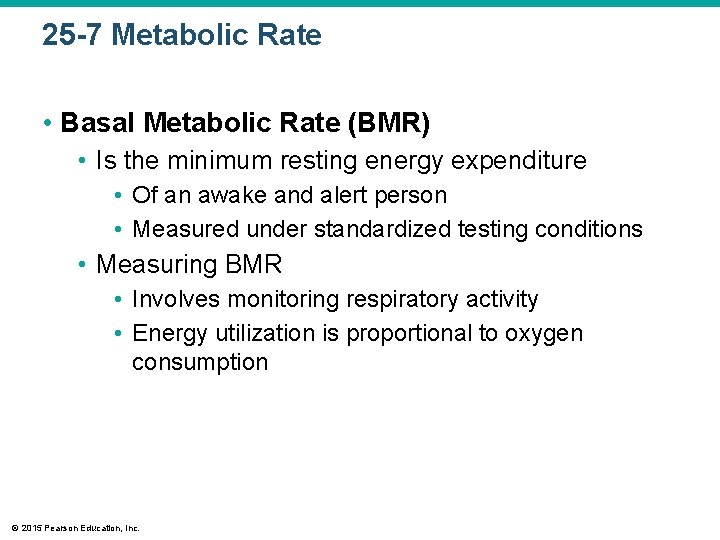 25 -7 Metabolic Rate • Basal Metabolic Rate (BMR) • Is the minimum resting