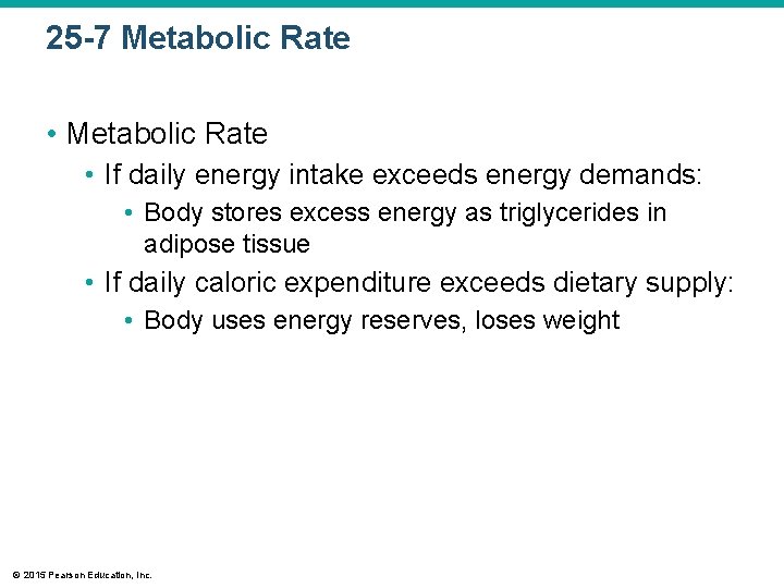 25 -7 Metabolic Rate • If daily energy intake exceeds energy demands: • Body