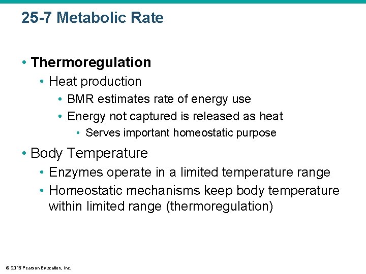 25 -7 Metabolic Rate • Thermoregulation • Heat production • BMR estimates rate of