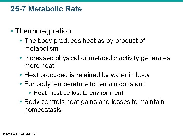 25 -7 Metabolic Rate • Thermoregulation • The body produces heat as by-product of