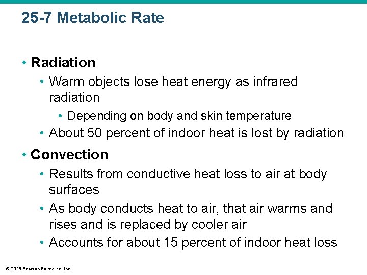 25 -7 Metabolic Rate • Radiation • Warm objects lose heat energy as infrared