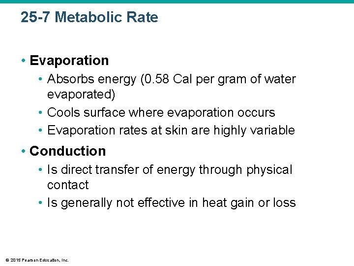 25 -7 Metabolic Rate • Evaporation • Absorbs energy (0. 58 Cal per gram