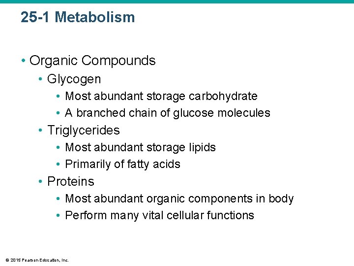 25 -1 Metabolism • Organic Compounds • Glycogen • Most abundant storage carbohydrate •