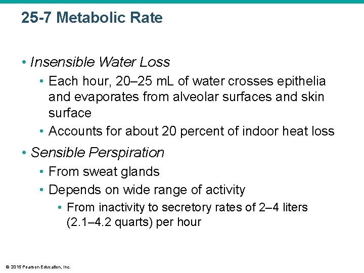 25 -7 Metabolic Rate • Insensible Water Loss • Each hour, 20– 25 m.
