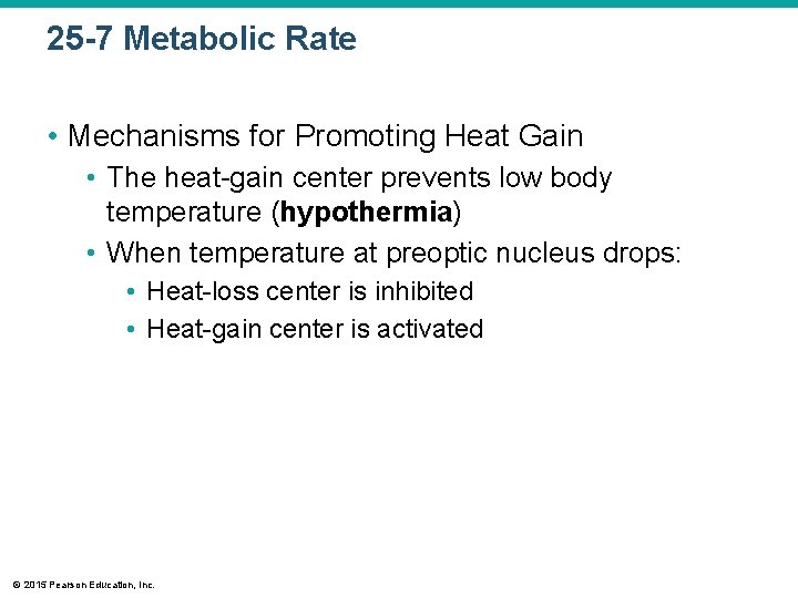 25 -7 Metabolic Rate • Mechanisms for Promoting Heat Gain • The heat-gain center