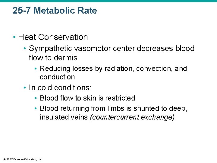 25 -7 Metabolic Rate • Heat Conservation • Sympathetic vasomotor center decreases blood flow