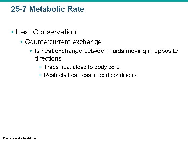 25 -7 Metabolic Rate • Heat Conservation • Countercurrent exchange • Is heat exchange