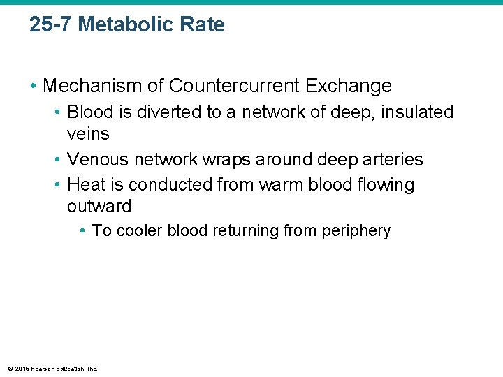 25 -7 Metabolic Rate • Mechanism of Countercurrent Exchange • Blood is diverted to