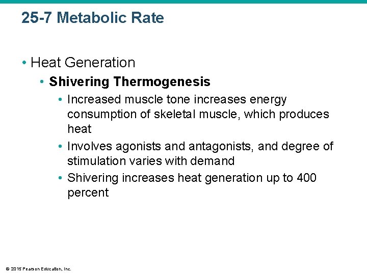 25 -7 Metabolic Rate • Heat Generation • Shivering Thermogenesis • Increased muscle tone