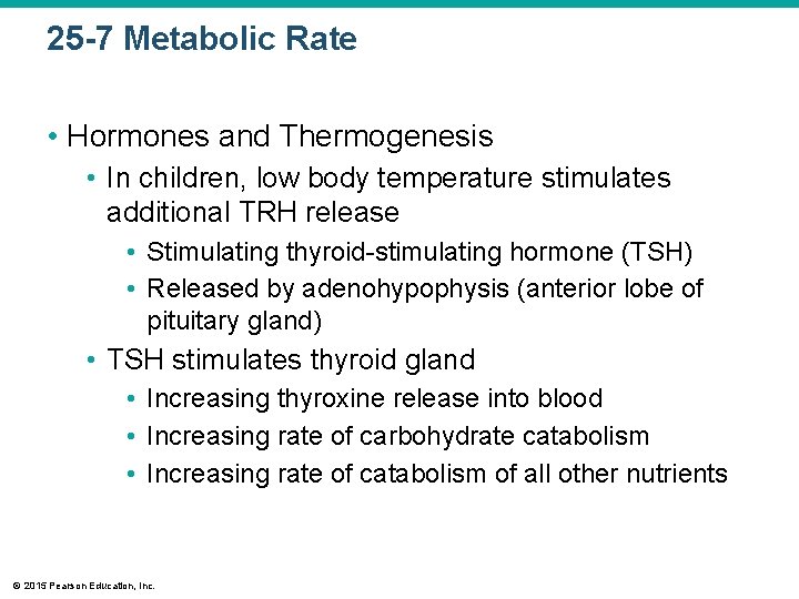 25 -7 Metabolic Rate • Hormones and Thermogenesis • In children, low body temperature