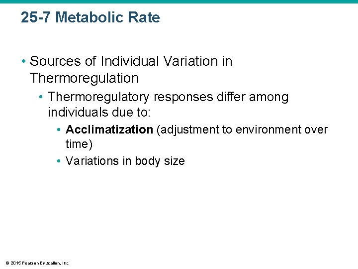 25 -7 Metabolic Rate • Sources of Individual Variation in Thermoregulation • Thermoregulatory responses