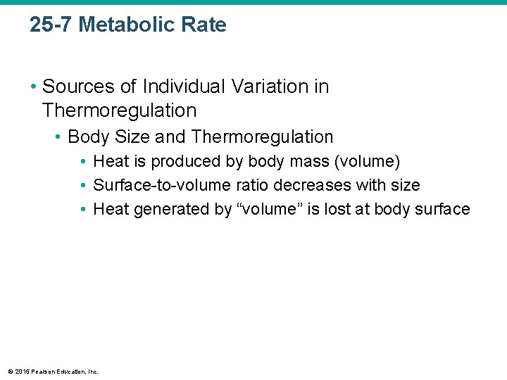 25 -7 Metabolic Rate • Sources of Individual Variation in Thermoregulation • Body Size