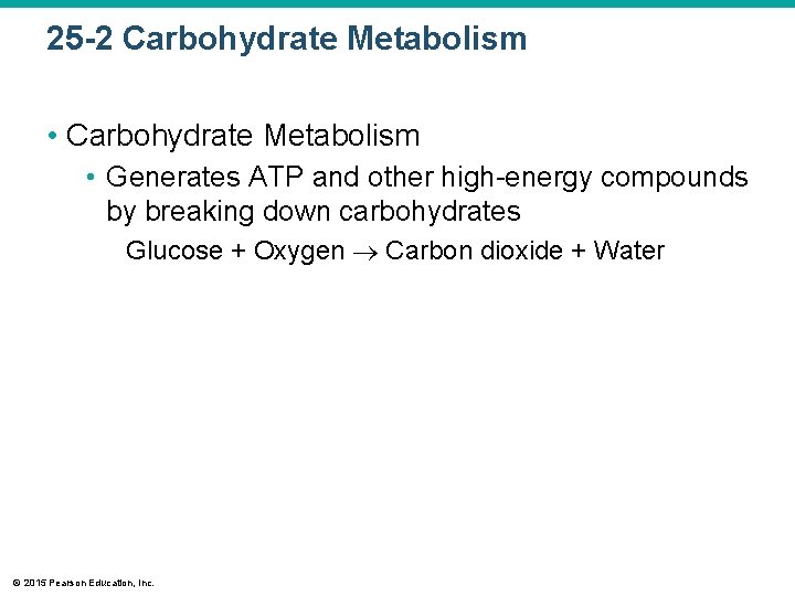 25 -2 Carbohydrate Metabolism • Generates ATP and other high-energy compounds by breaking down