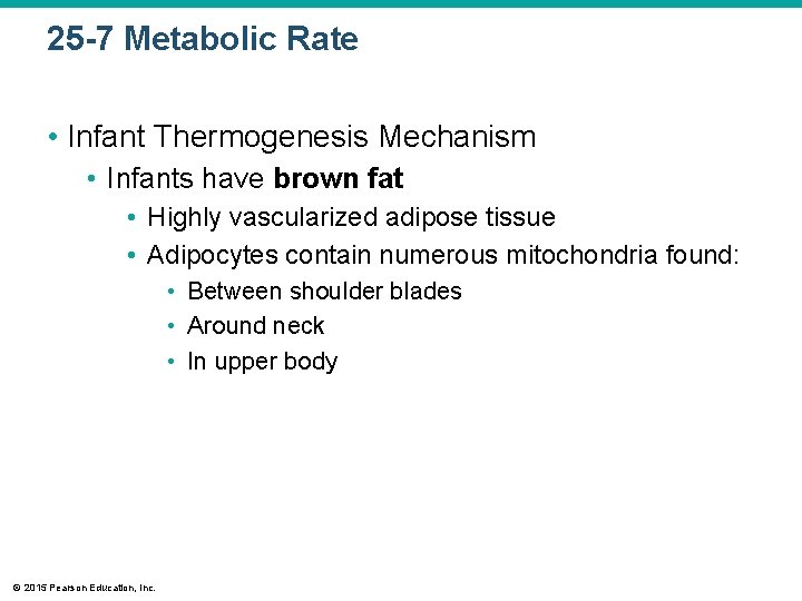 25 -7 Metabolic Rate • Infant Thermogenesis Mechanism • Infants have brown fat •