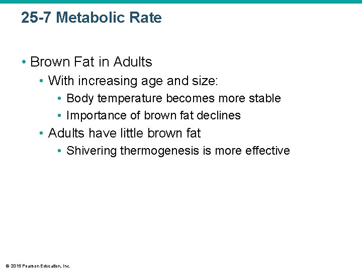25 -7 Metabolic Rate • Brown Fat in Adults • With increasing age and