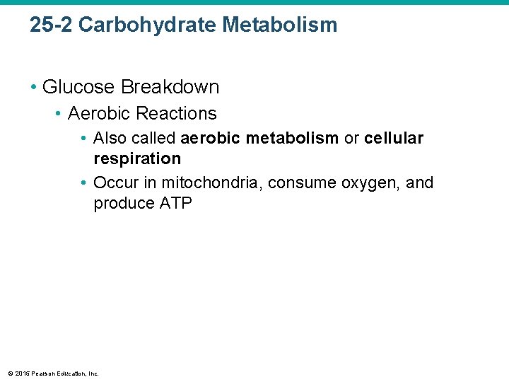 25 -2 Carbohydrate Metabolism • Glucose Breakdown • Aerobic Reactions • Also called aerobic