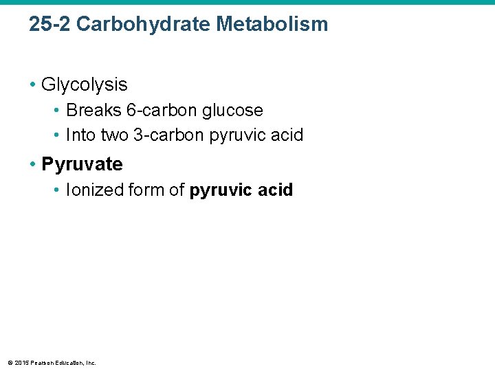 25 -2 Carbohydrate Metabolism • Glycolysis • Breaks 6 -carbon glucose • Into two