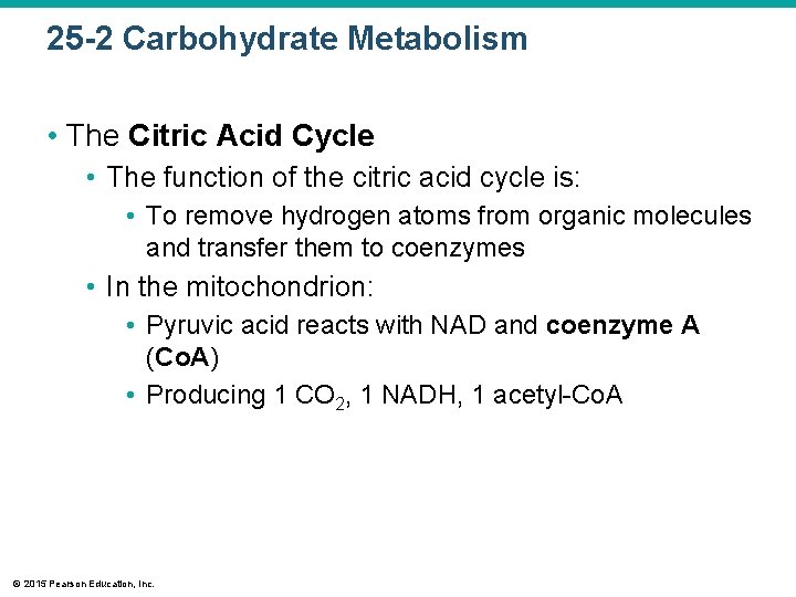 25 -2 Carbohydrate Metabolism • The Citric Acid Cycle • The function of the