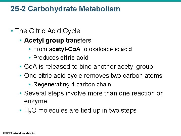 25 -2 Carbohydrate Metabolism • The Citric Acid Cycle • Acetyl group transfers: •