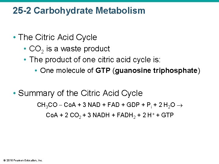 25 -2 Carbohydrate Metabolism • The Citric Acid Cycle • CO 2 is a