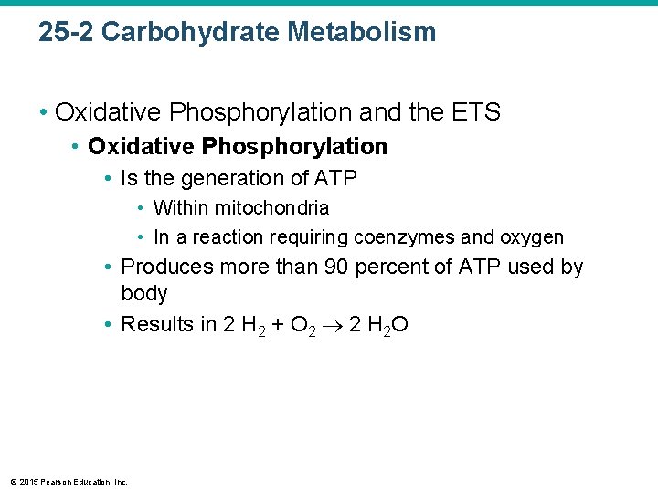 25 -2 Carbohydrate Metabolism • Oxidative Phosphorylation and the ETS • Oxidative Phosphorylation •