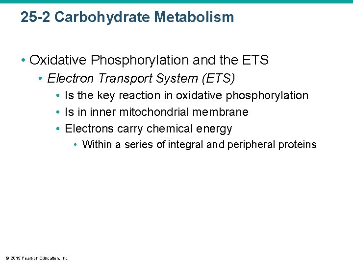 25 -2 Carbohydrate Metabolism • Oxidative Phosphorylation and the ETS • Electron Transport System