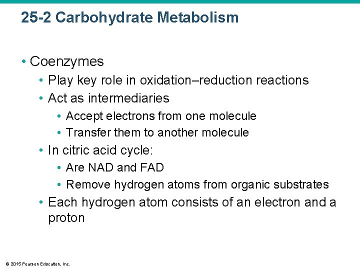 25 -2 Carbohydrate Metabolism • Coenzymes • Play key role in oxidation–reduction reactions •