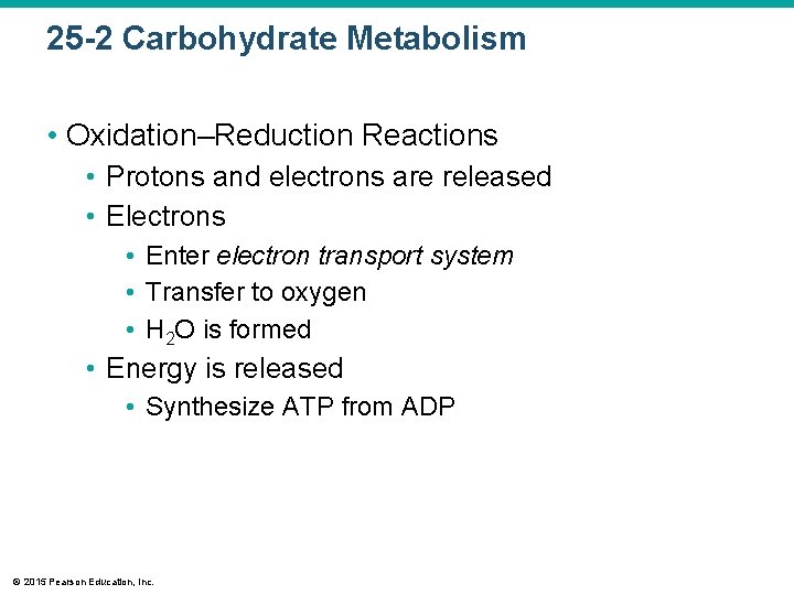 25 -2 Carbohydrate Metabolism • Oxidation–Reduction Reactions • Protons and electrons are released •