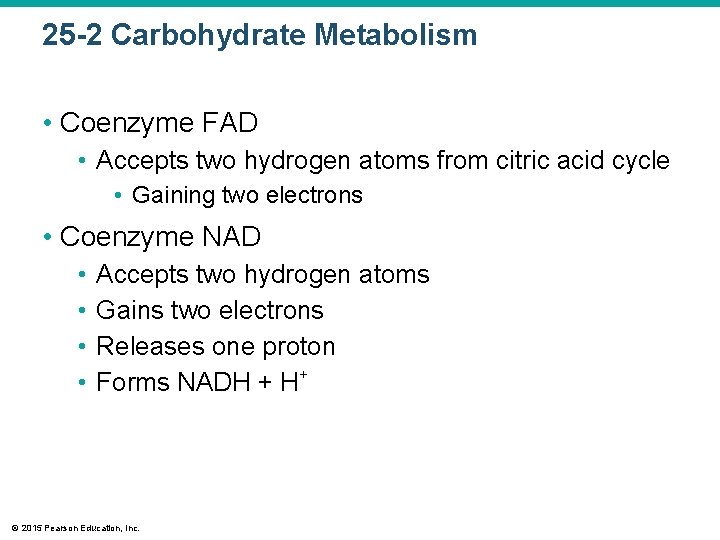 25 -2 Carbohydrate Metabolism • Coenzyme FAD • Accepts two hydrogen atoms from citric