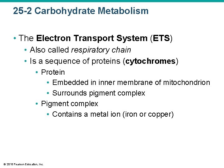 25 -2 Carbohydrate Metabolism • The Electron Transport System (ETS) • Also called respiratory